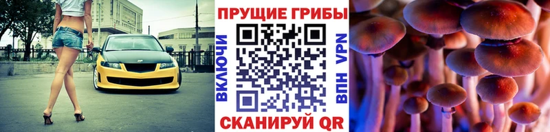 Псилоцибиновые грибы прущие грибы Петровск-Забайкальский